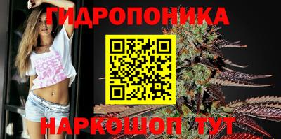 apvp Кимры