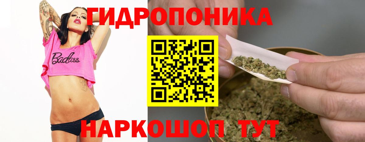 Бошки марихуана конопля  Вход с VPN  Геленджик  МАРИХУАНА Amnesia  Шишки марихуана план 