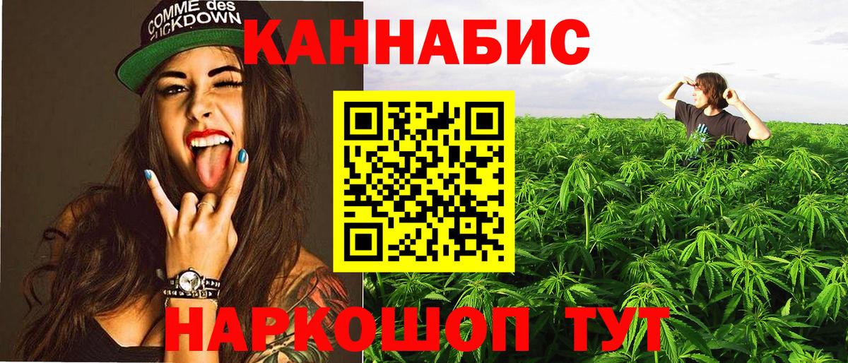 Каннабис план Геленджик